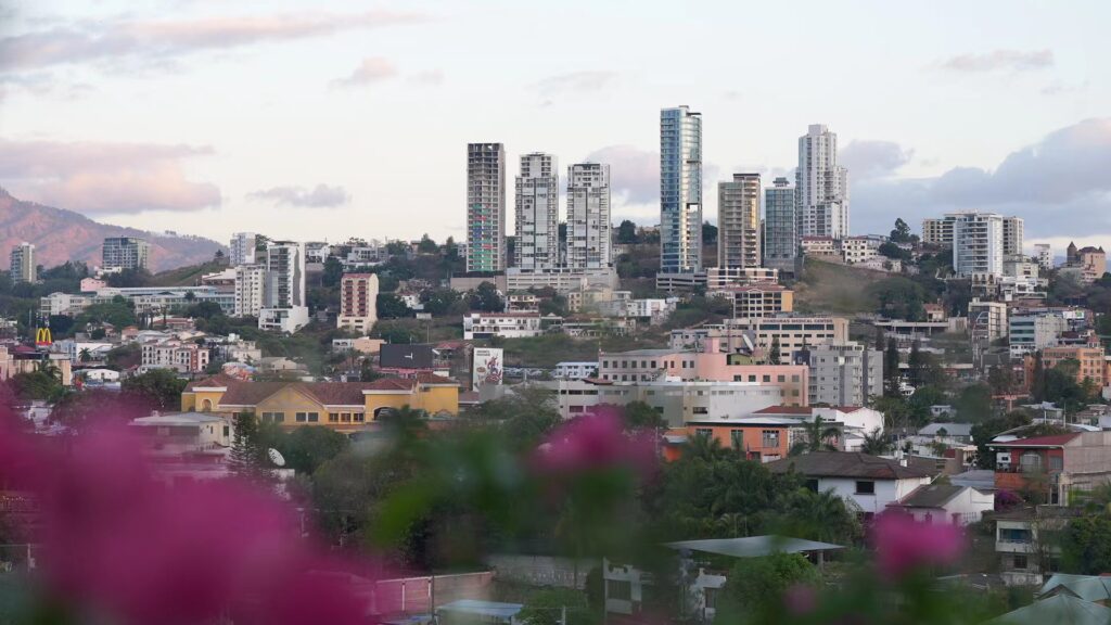 Weed in Tegucigalpa