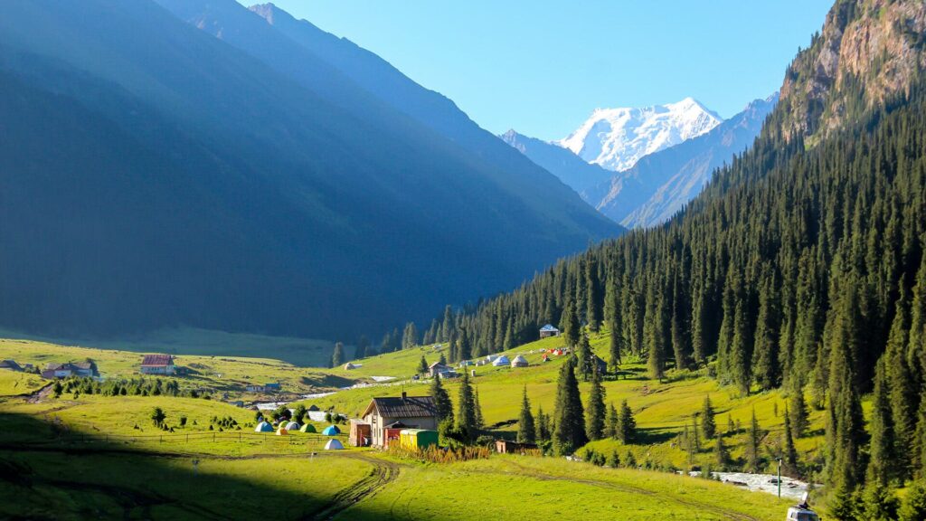 Weed in Kyrgyzstan