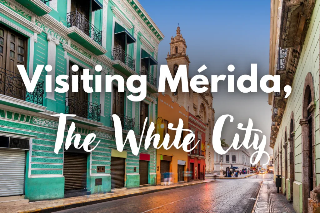 weed in Merida
